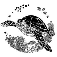 Sea Turtle